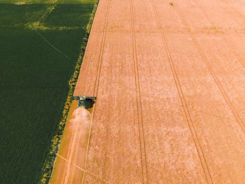 A combine harvester working a field, seen from above