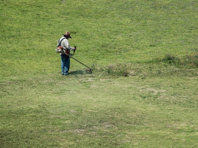 A groundsman cutting grass with a brushcutter