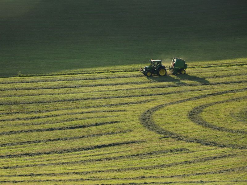 A tractor baling hay in a cut field