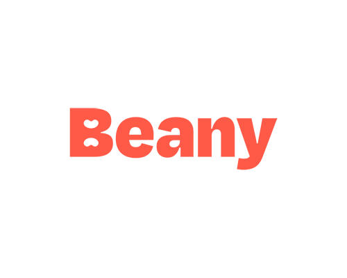 Understanding Balance Sheets – A Guide By Beany