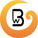 Biz Whiz Advisors Ltd logo