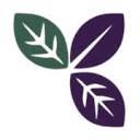 Harrington Mason Chartered Accountants logo