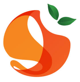 Orange Network logo