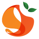 Orange Network logo