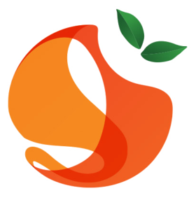 Orange Network logo