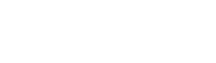 Perseus Management logo