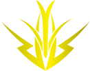 Ultimate Performance Academy Pty Ltd logo